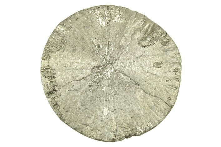 Radiant Pyrite Sun - Sparta, Illinois #342589